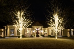 lentz-holiday-lights-2023-4